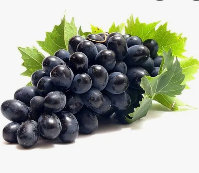 Class -1 Egypt Black Seedless Grapes