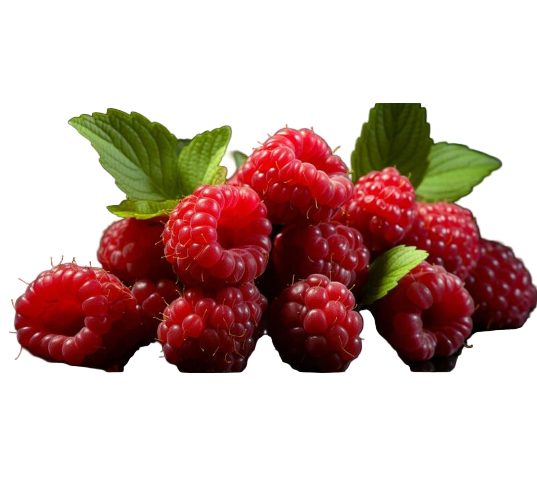 Netherland Raspberry -(125gm)