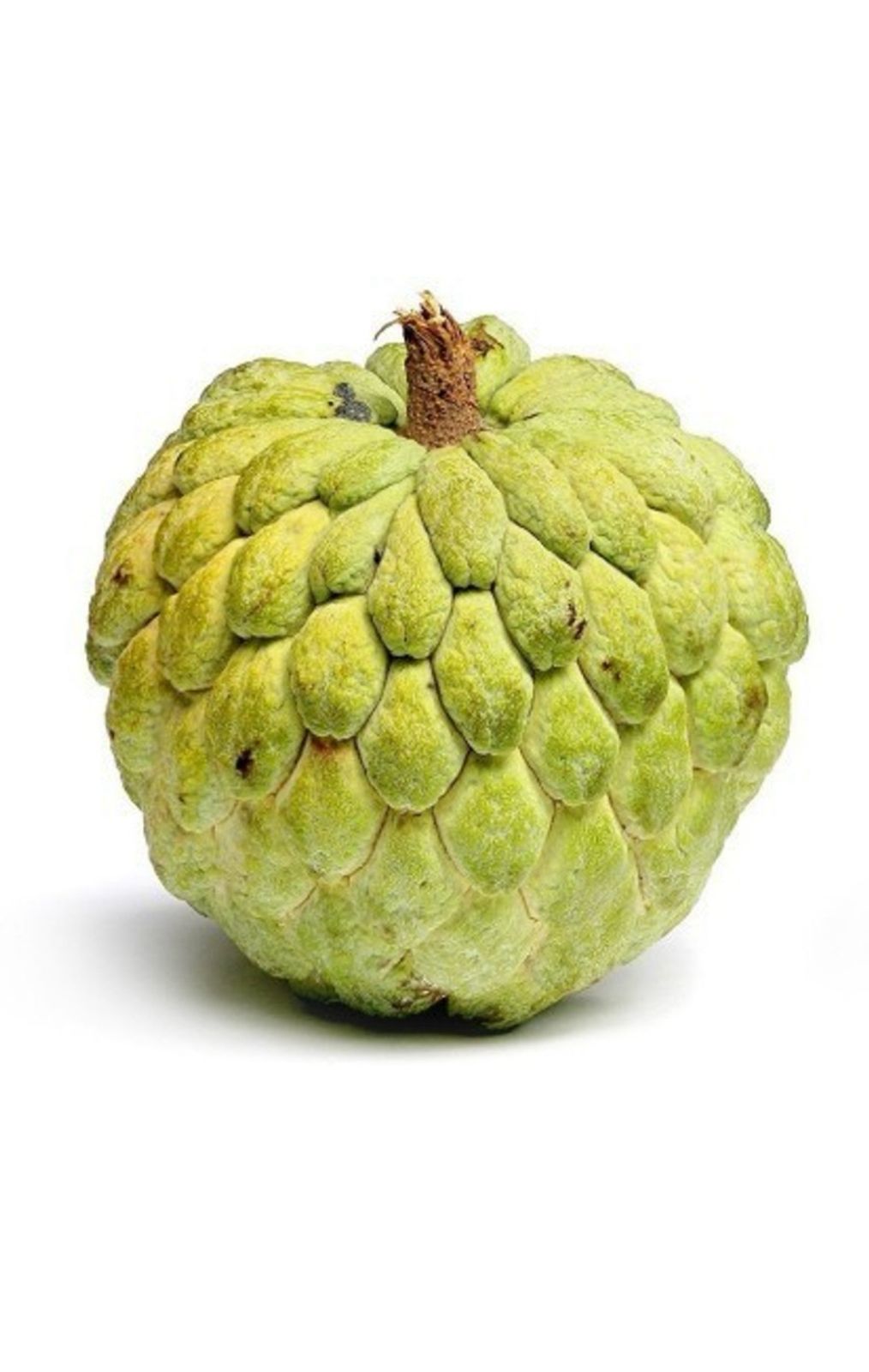 Custard Apple (sharifa) per pcs