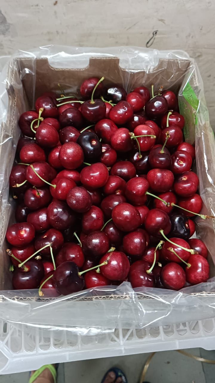 USA CHERRY (THE GIANT) 500gm